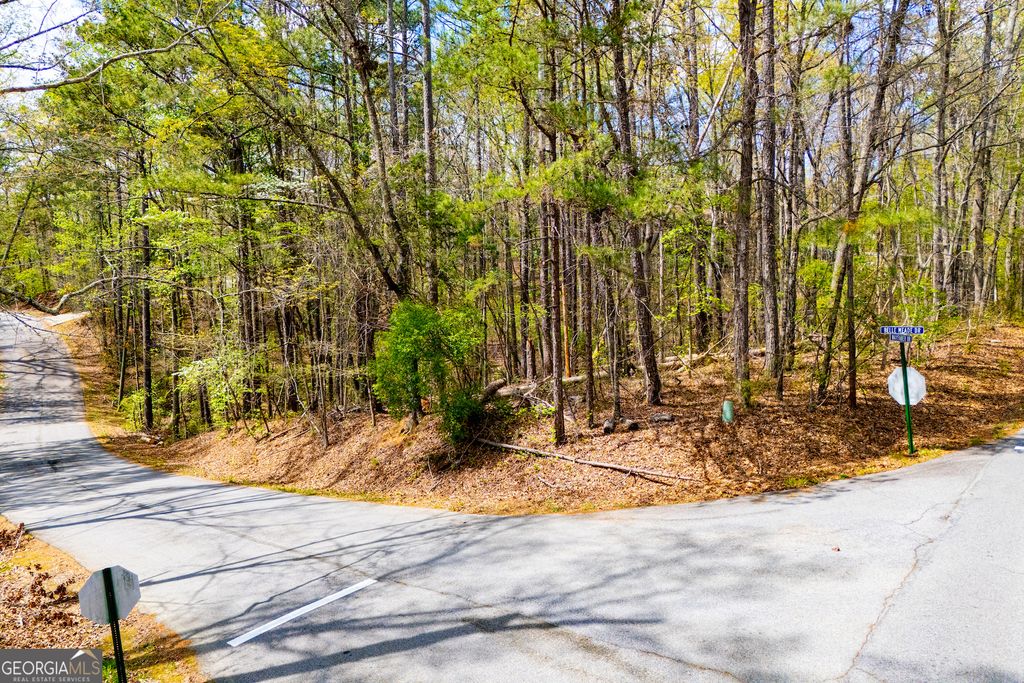 Photo of 6156 Belle Meade Drive, Villa Rica, GA 30180 (MLS # 10726564)