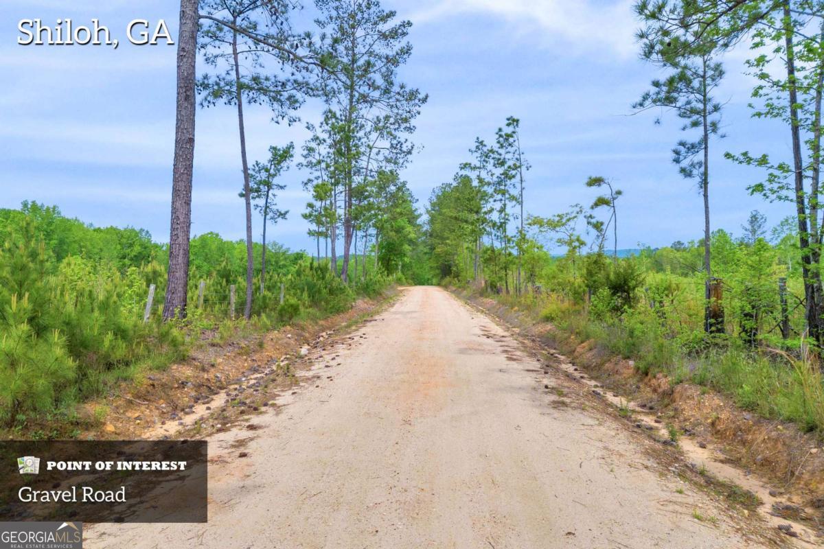 2450 Chestnut Grove RD 3