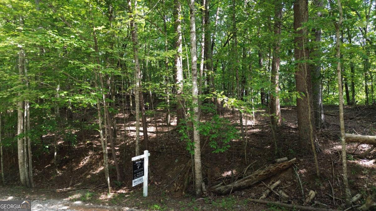 Tucked away in the serene, tree-covered landscape of Lumpkin Ventures, this expansive 12-acre undeveloped parcel offers an exceptional sense of privacy and peaceful seclusion. A quiet residential street with minimal traffic leads you to the lot, where a private dirt road winds gently along one side, inviting you into the heart of nature. The land features a mix of fairly level ground and softly rolling slopes, blanketed in lush, mature woods that create a calming, natural ambiance. With only two neighbors nearby and no HOA restrictions, this property feels like your own private retreat. The lot is assumed to have access to public water and sewer through Lumpkin County, though no perc test or survey is currently available, and it is assumed there are no unknown easements affecting development. From several vantage points, enjoy quiet residential views that blend harmoniously with the surrounding forest and just a short drive from the charming heart of downtown Dahlonega, offering the perfect canvas for a custom home or getaway in a truly tranquil setting. Schedule a showing and see this pristine piece of paradise for yourself!