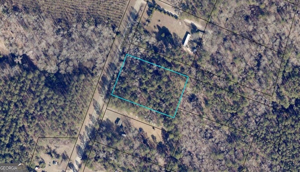 0 MCCOY CHURCH ROAD, BURKE, GA 30380 - Image bfa3ab61b5bb8da4a3bd593a09eb59af/1087728464
