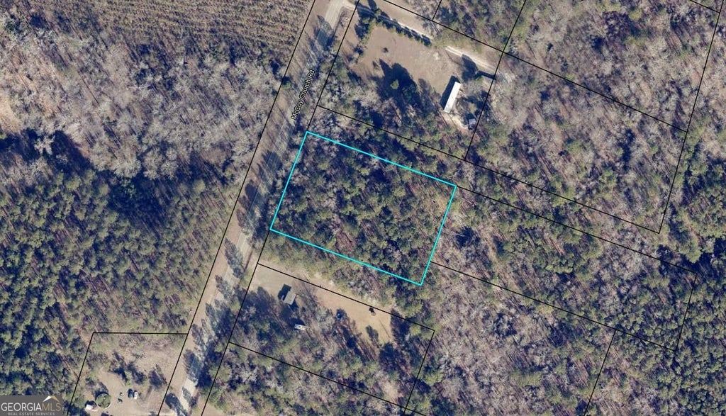 Photo of N/A McCoy Church Road, Burke, GA 30380 (MLS # 10878556)