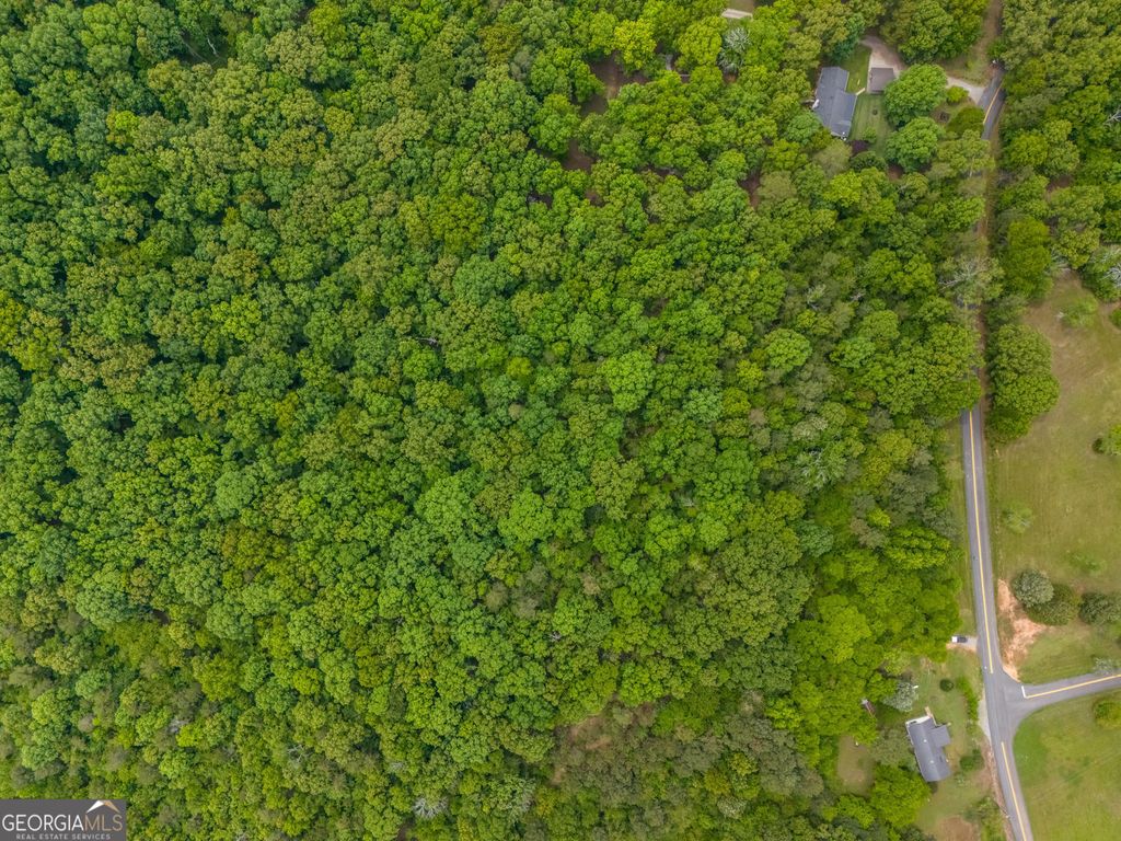 Photo of 0 Mullinax Road, Taylorsville, GA 30178 (MLS # 10770908)