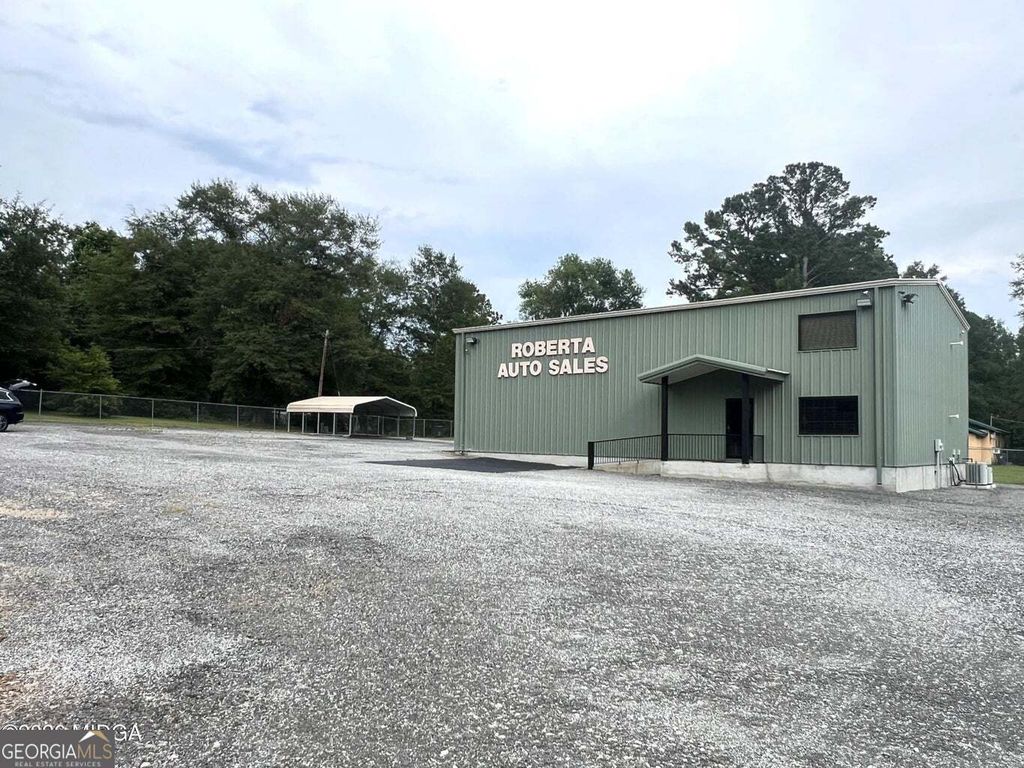 Photo of 366 Crusselle Street, Roberta, GA 31078 (MLS # 10767360)