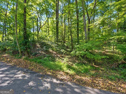 3965 OAK HARBOUR DR, GAINESVILLE, GA 30506 - Image bfd0fba7e9c09f403a78da5c5f974cba/776303992