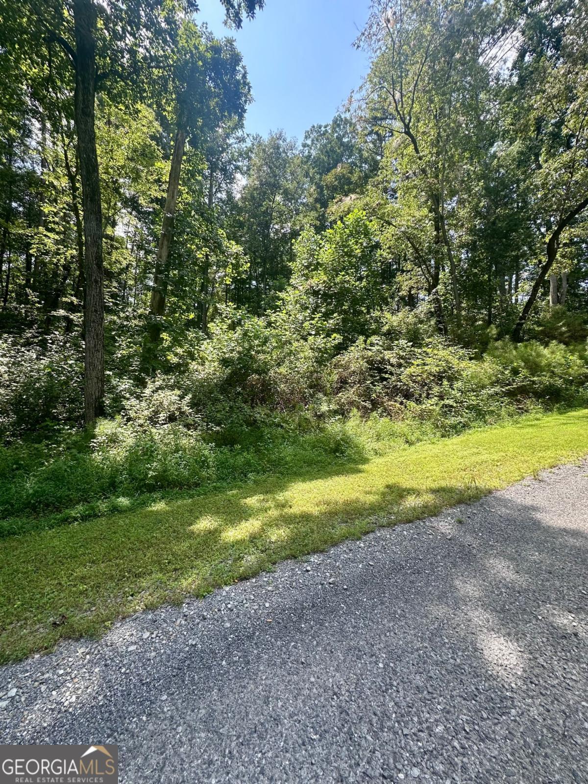 LT 43 Hilton DR