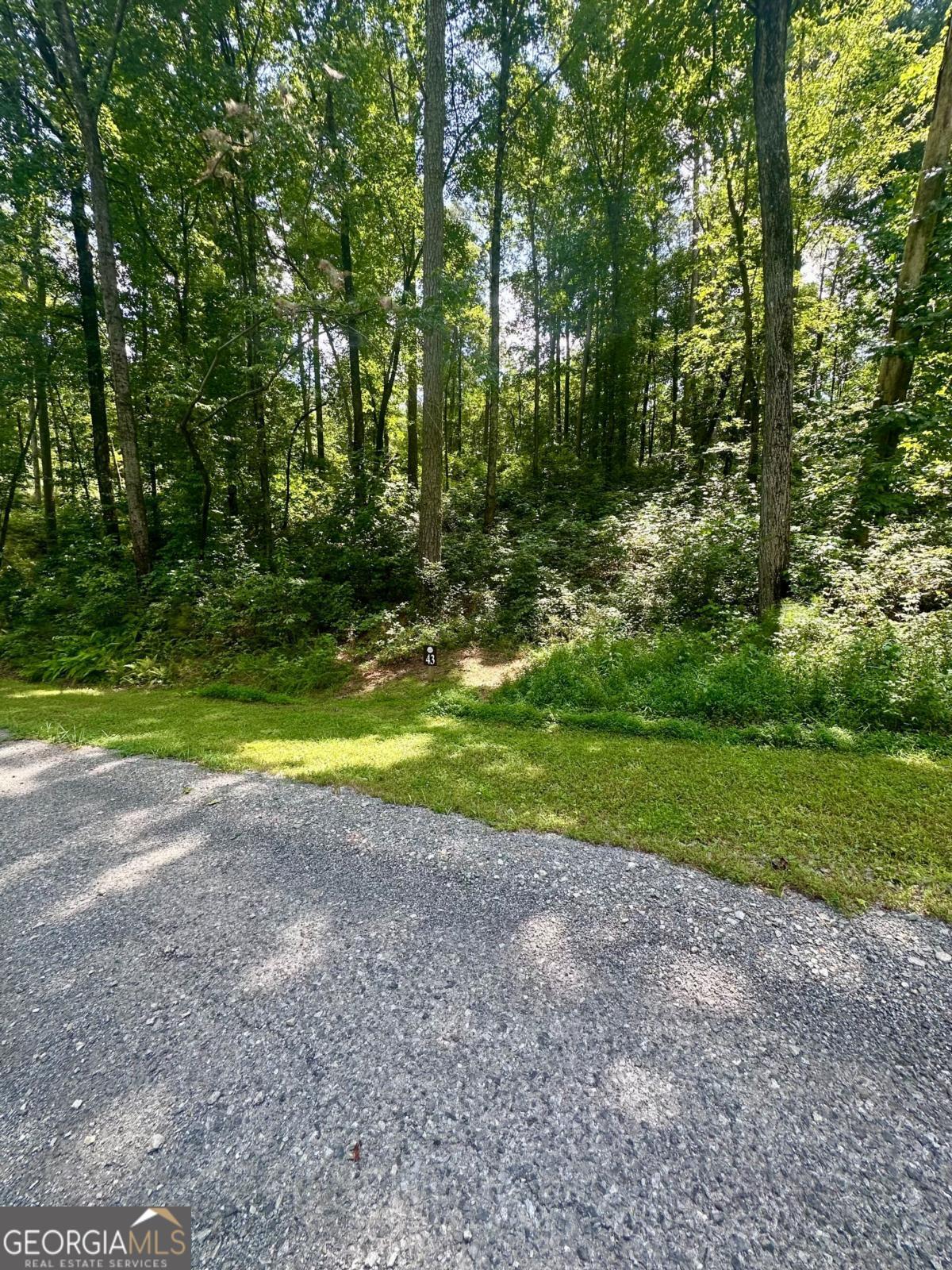LT 43 Hilton DR