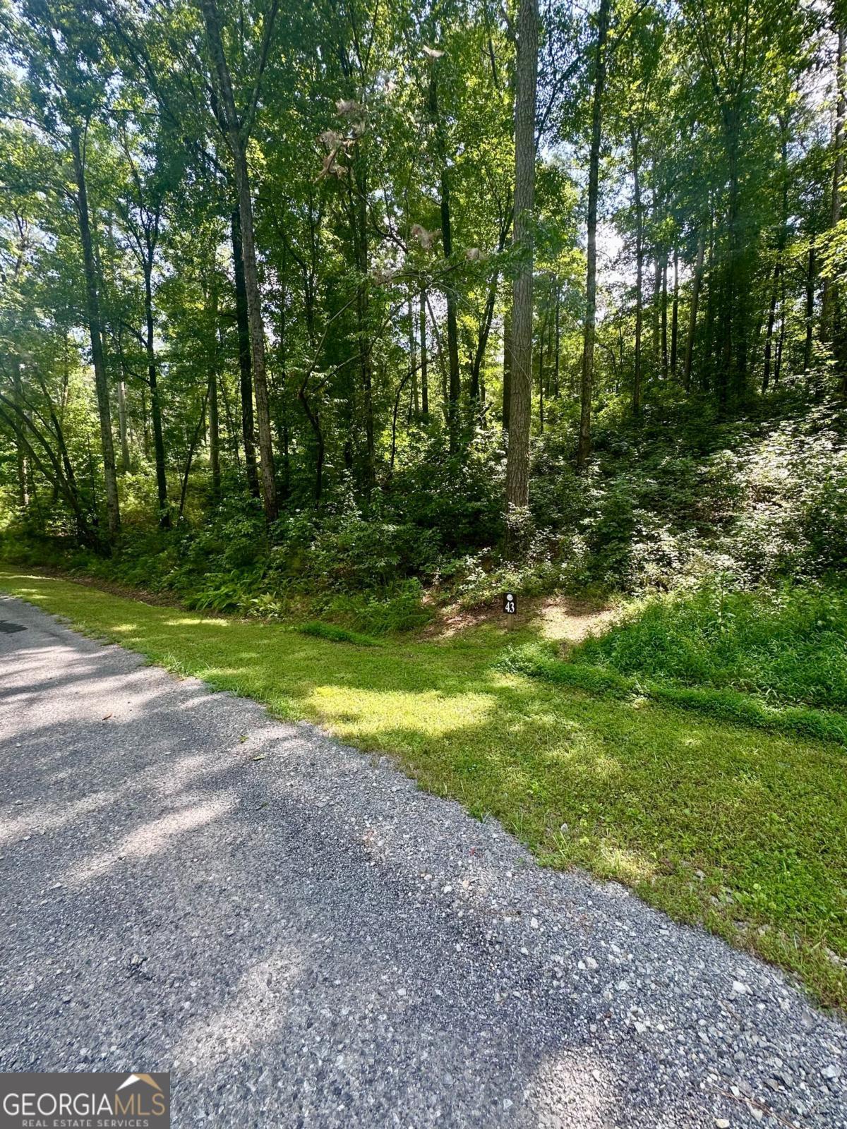 LT 43 Hilton DR