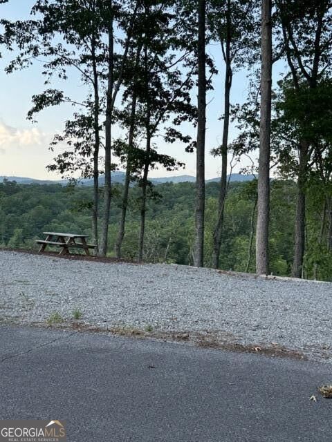 290 Eagle View Dr - LOT #20