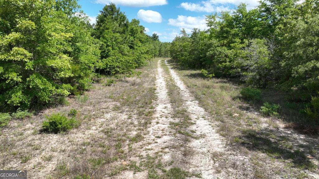 Photo of 0 Clarks Mill Road, Avera, GA 30803 (MLS # 10834868)