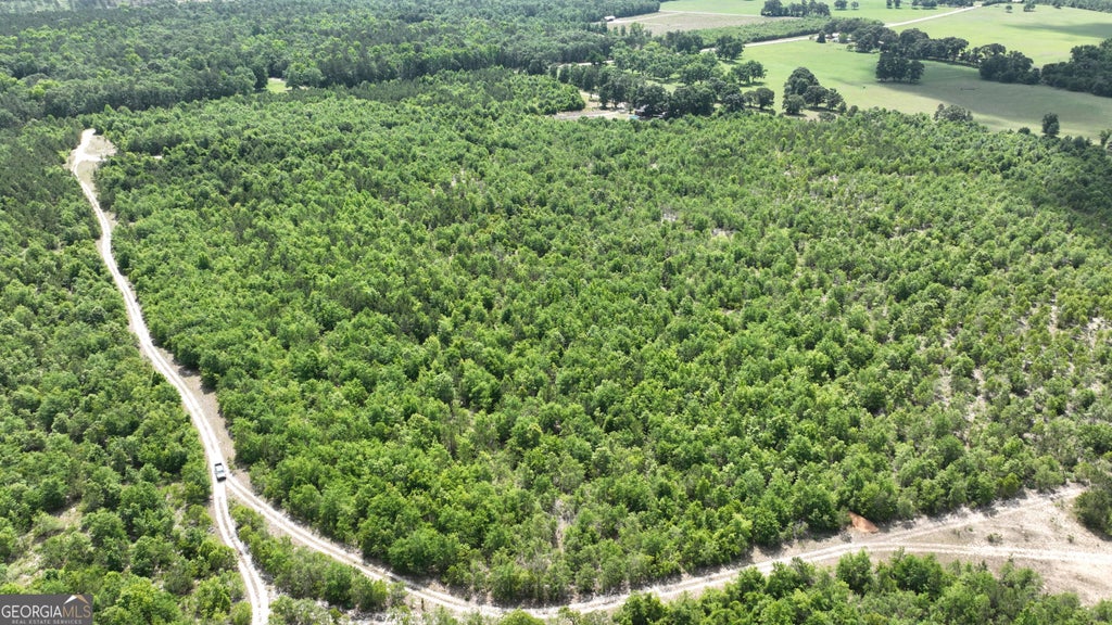 Photo of 0 Clarks Mill Road, Avera, GA 30803 (MLS # 10834868)