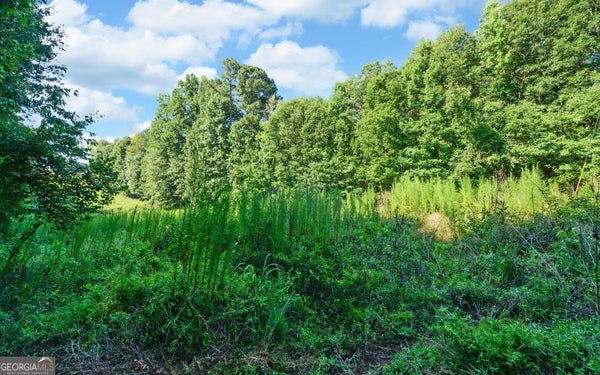BOWERSVILLE ST, ROYSTON, GA 30662 - Image bfe8e4da5330bb3c81fc5f23e5adc89d/4177599359