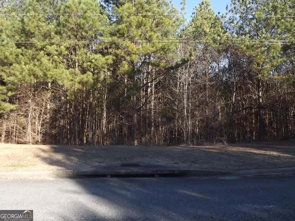 Photo of 4 Skyview Street, Cedartown, GA 30125 (MLS # 10663758)