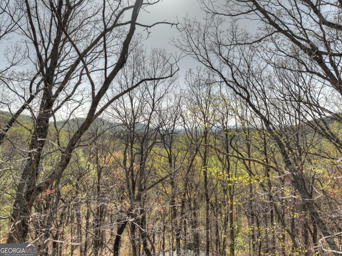 LOT 4 Wilderness WAY