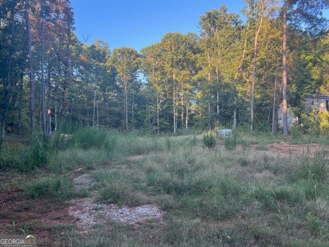 Photo of 172 Little River Trail, Eatonton, GA 31024 (MLS # 10840490)