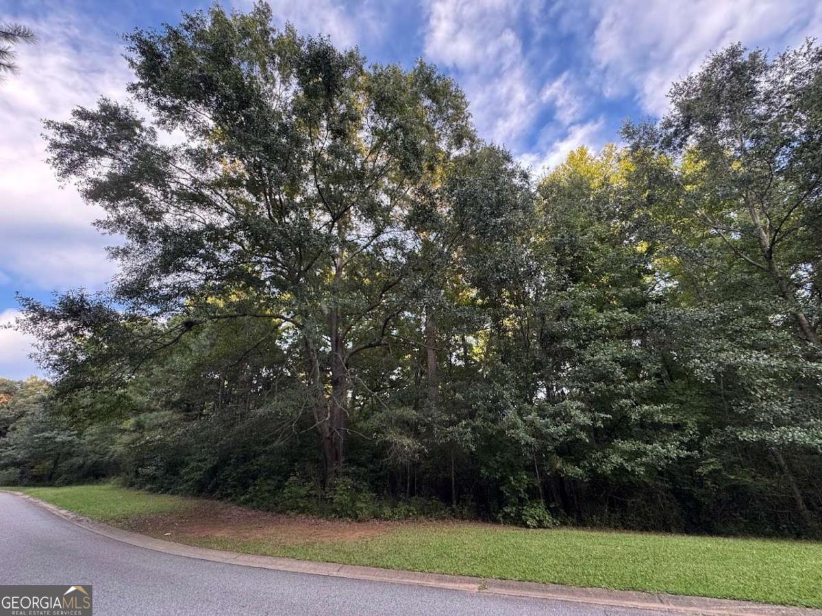7.41 acres on Lexington Road located at the entrance to Timber Creek Subdivision. Zoned RS-25. +/- 200 feet road frontage on Hwy 78.