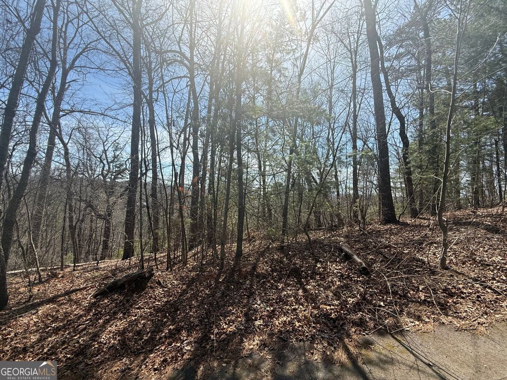 Photo of 3 Big View Lane, Clayton, GA 30525 (MLS # 10710710)