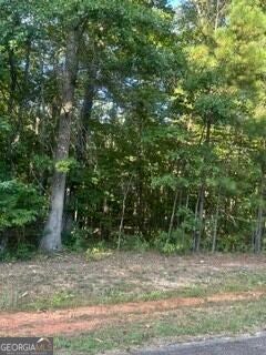 Photo of 223 Brittany Lane, Gray, GA 31032 (MLS # 10847933)