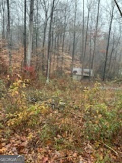 Photo of 17 Lakeside Trail, Martin, GA 30557 (MLS # 10425281)