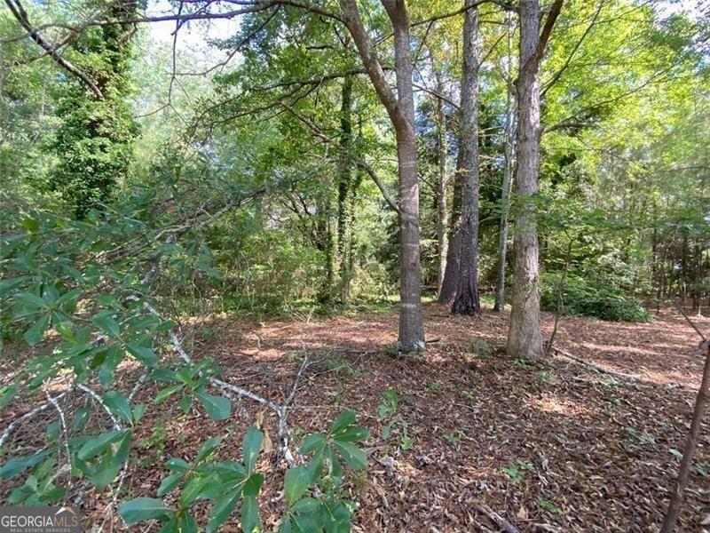 Located at the entrance of Walnut Grove Elementary School, this property contains one parcel totaling approximately 1.29 acres. Over 250 feet of state highway frontage. This location sees around 9220 vehicles per day (GADOT 2019). Parcel is zoned A1 and is located in the Highway Corridor, classified as R3. Location is ideal for Residential, Retail or other commercial use. Partially Wooded with mature hardwoods and pines. Build your dream home or rezone for commercial use1