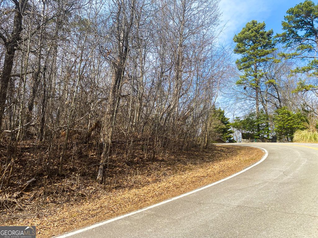 Photo of 786 Shorewood Cir, Toccoa, GA 30577 (MLS # 10691941)