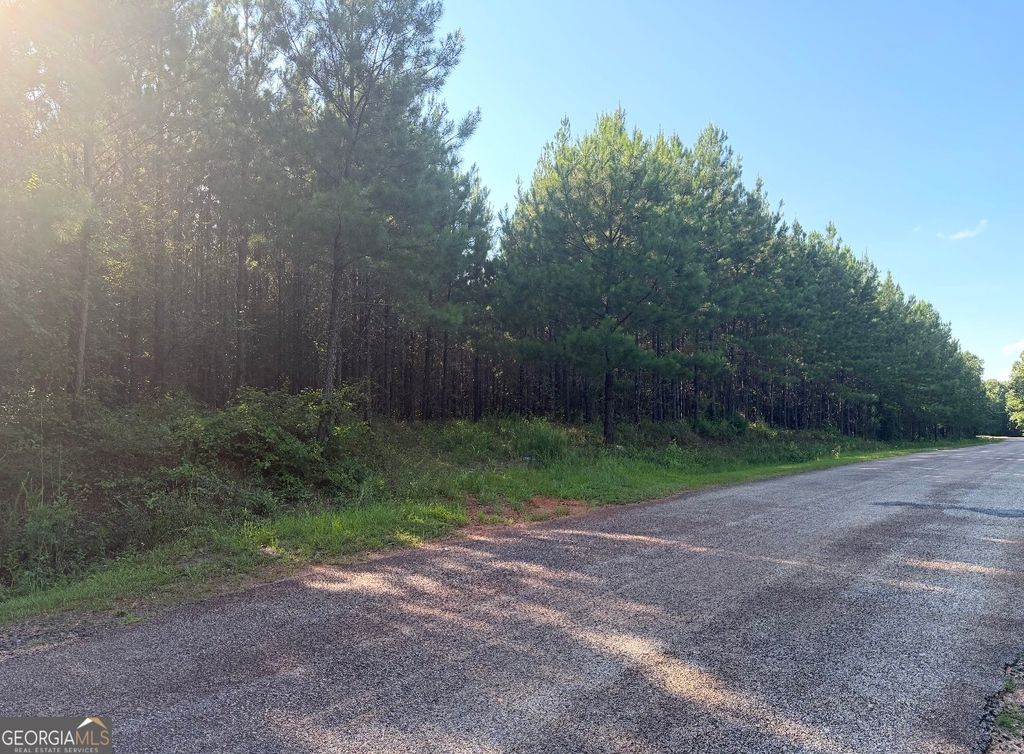 Photo of 78 Aubrey Mays Road, Forsyth, GA 31029 (MLS # 10799747)