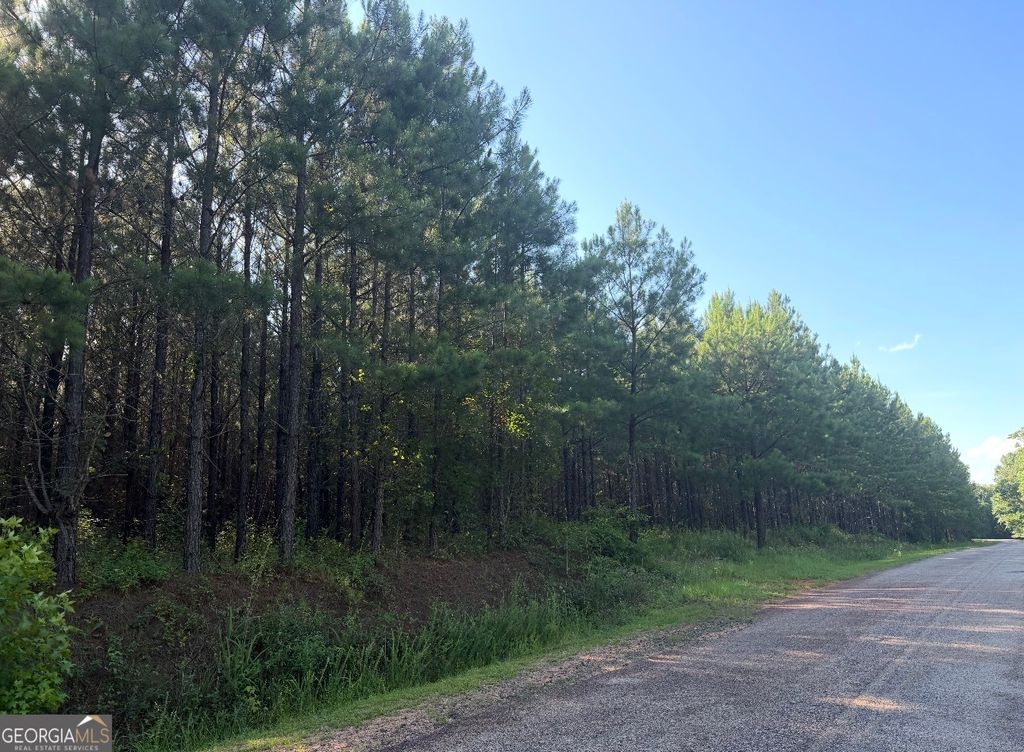 Photo of 78 Aubrey Mays Road, Forsyth, GA 31029 (MLS # 10799747)