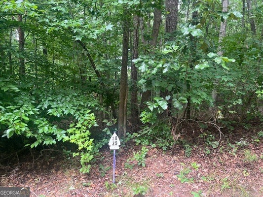 135 TULIP LN, WESTMINSTER, SC 29693 - Image c094e2bbbe3ef37f852f0378a4d5ffce/4270033263