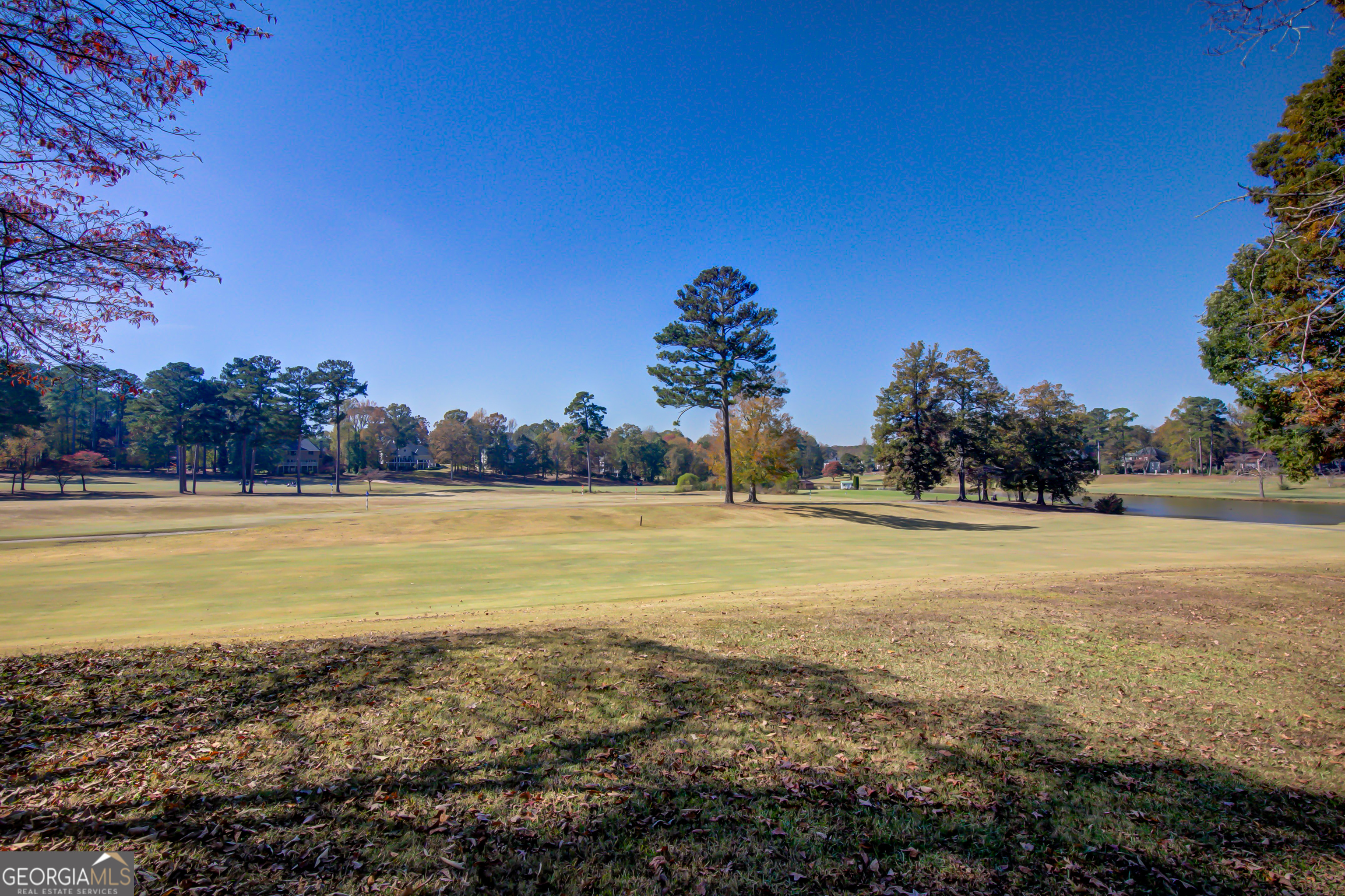 Village at White Oak - Residential