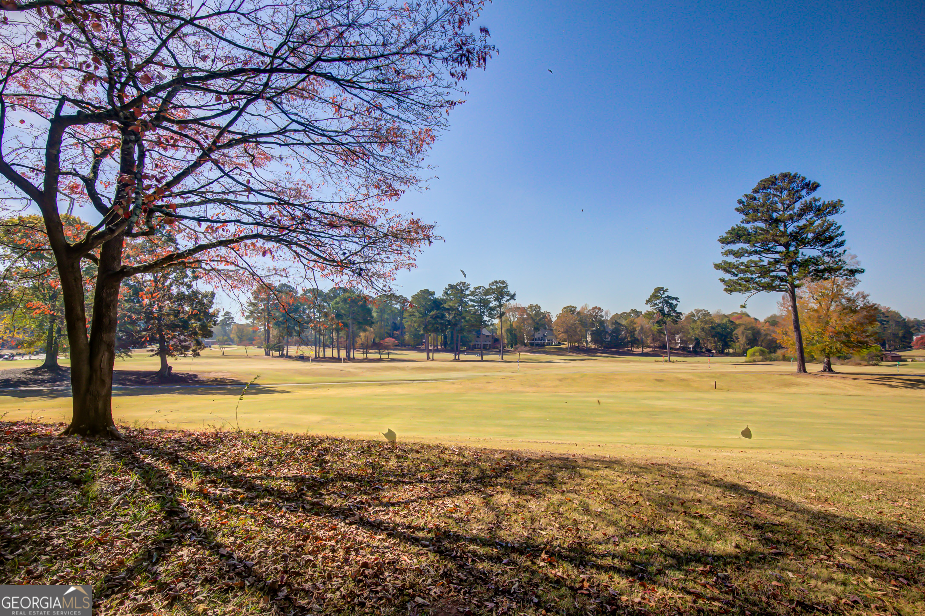 Village at White Oak - Residential
