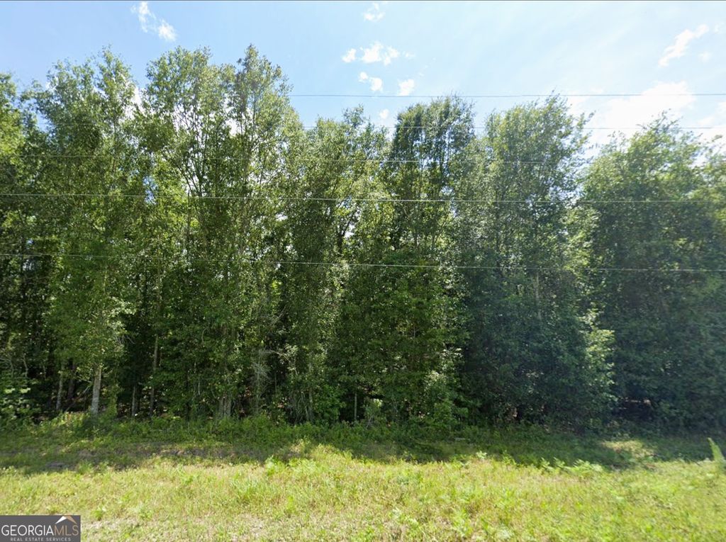 Photo of TBD Mann Road, Arabi, GA 31015 (MLS # 10722420)