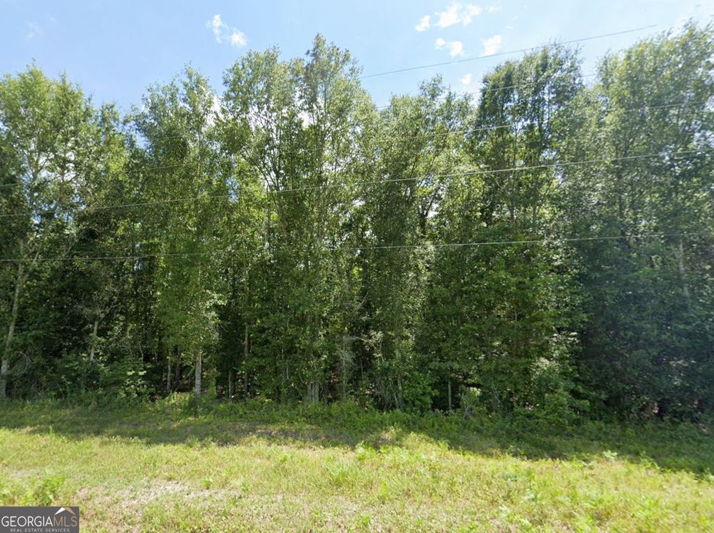Photo of TBD Mann Road, Arabi, GA 31015 (MLS # 10722420)