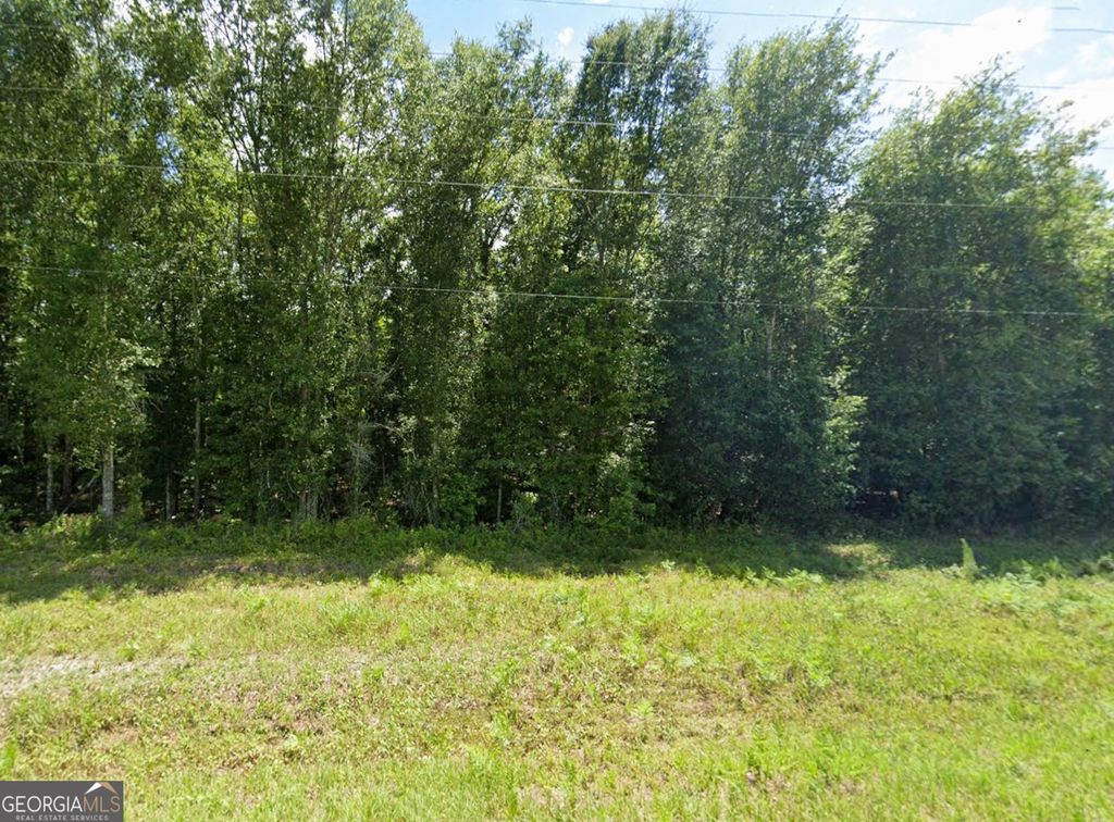 Photo of TBD Mann Road, Arabi, GA 31015 (MLS # 10722420)
