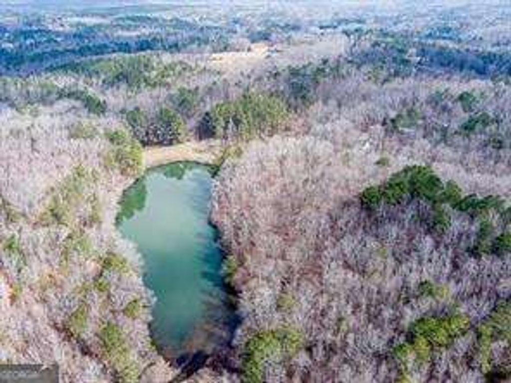 Photo of 0 Williams TRACT D Lane, Ball Ground, GA 30107 (MLS # 10714988)