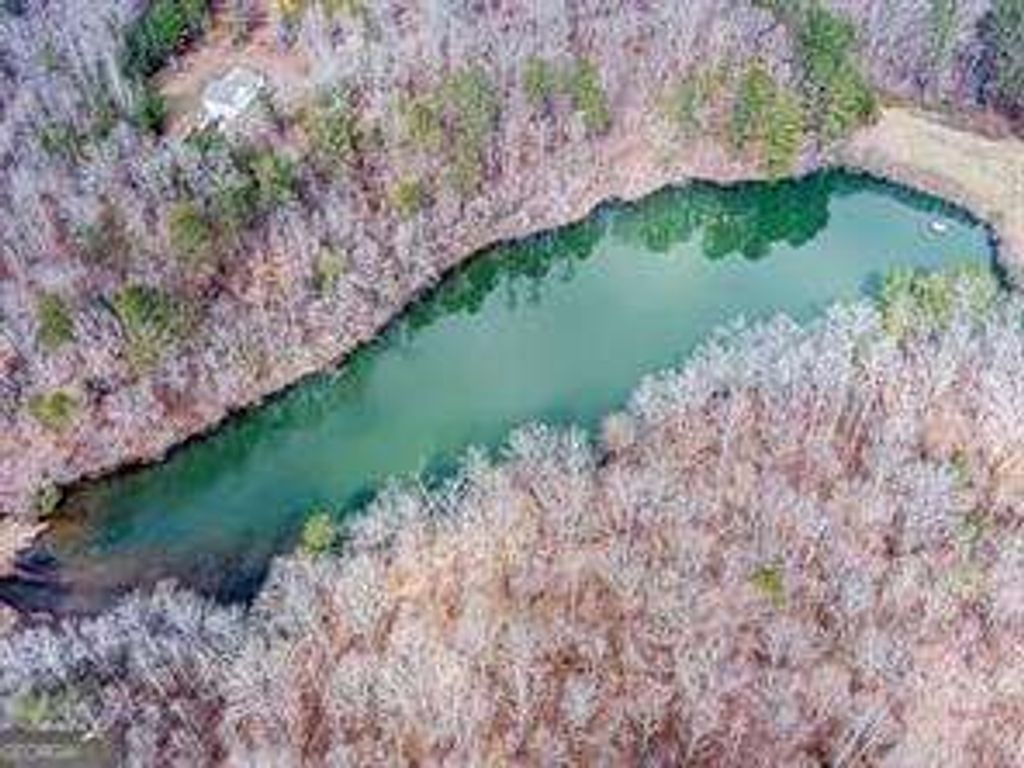 Photo of 0 Williams TRACT D Lane, Ball Ground, GA 30107 (MLS # 10714988)