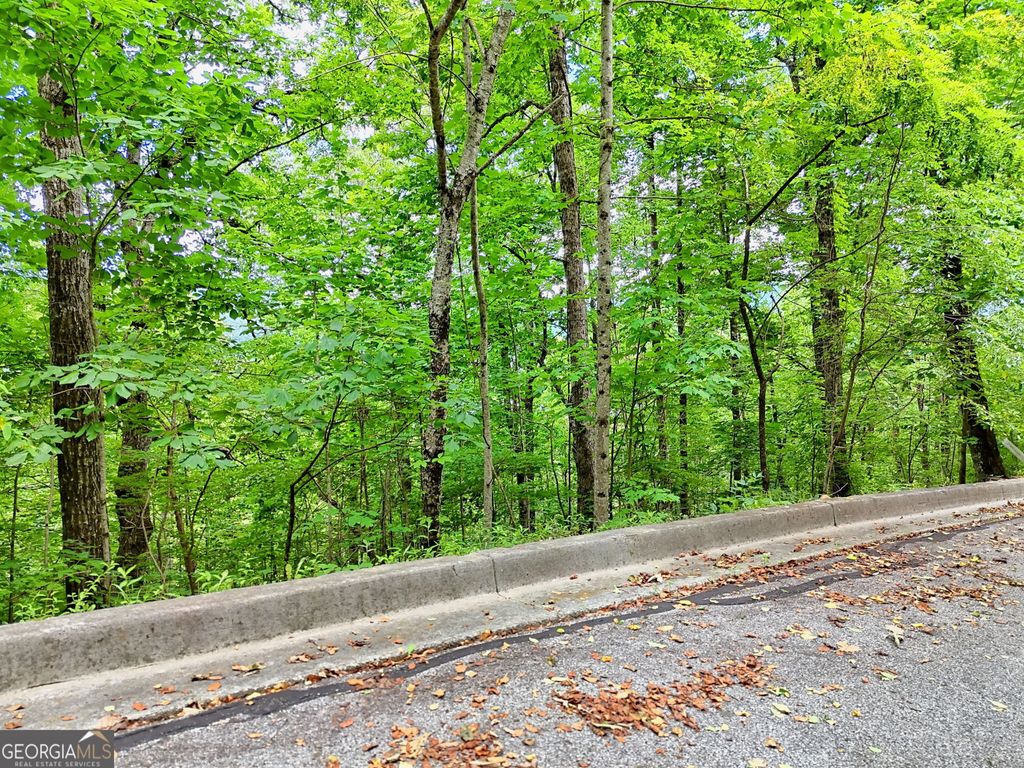 Photo of 0 High Pointe Drive, Clayton, GA 30525 (MLS # 10786547)