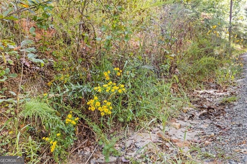 722 Yonah Mountain RD