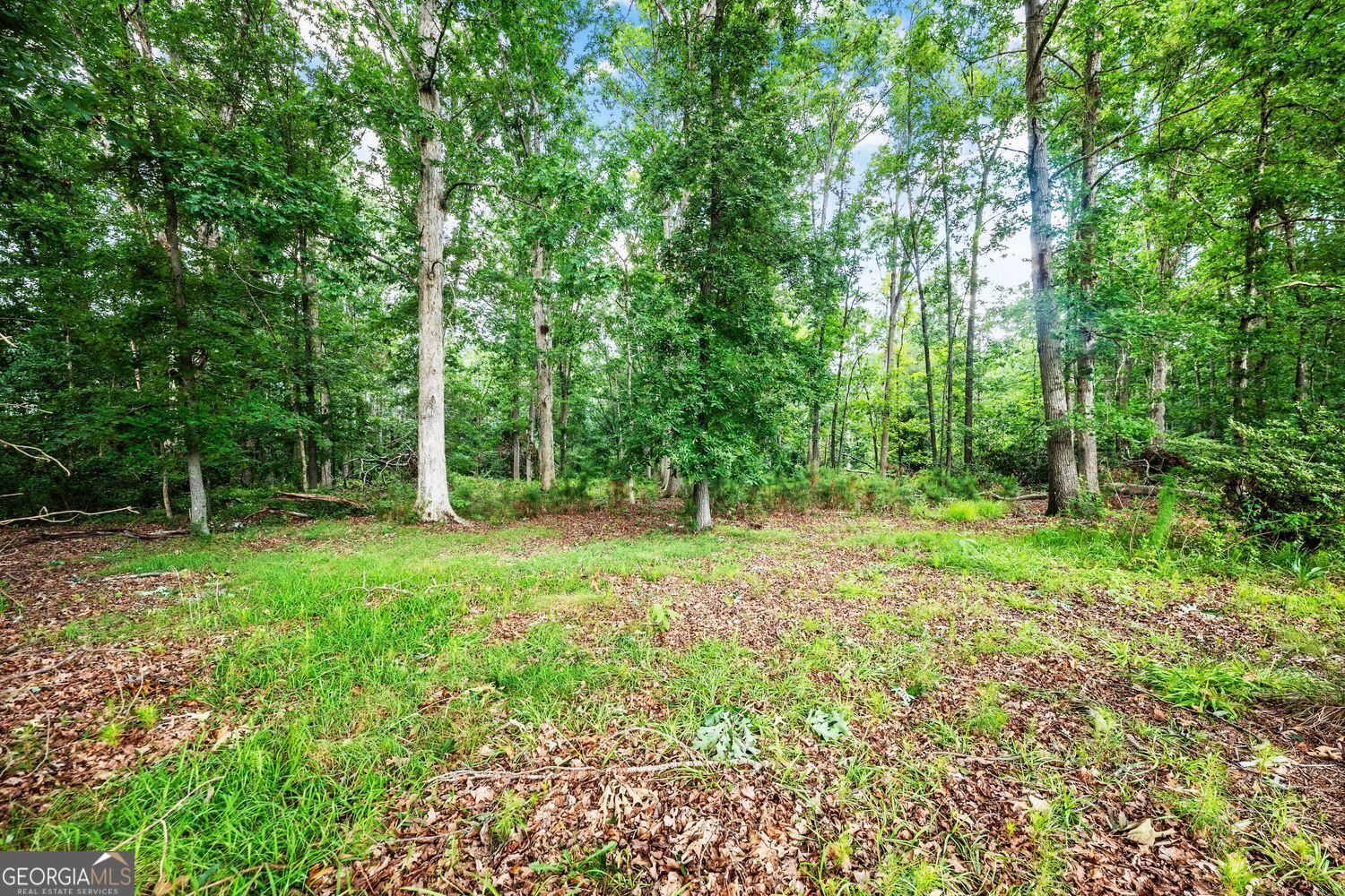 2316 Mount Olivet Road RD