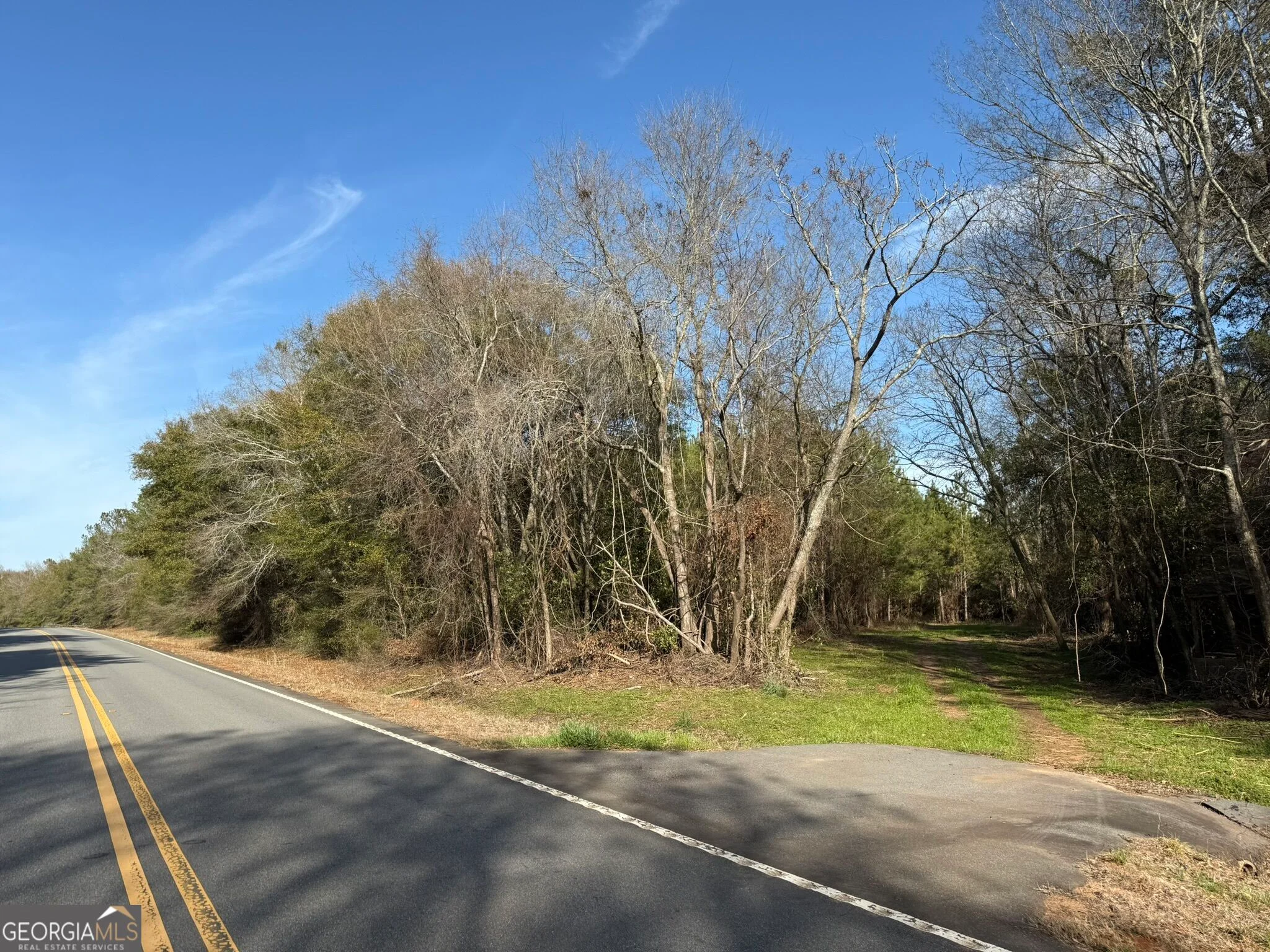 006 State Route 45, Plains, GA, 31780
