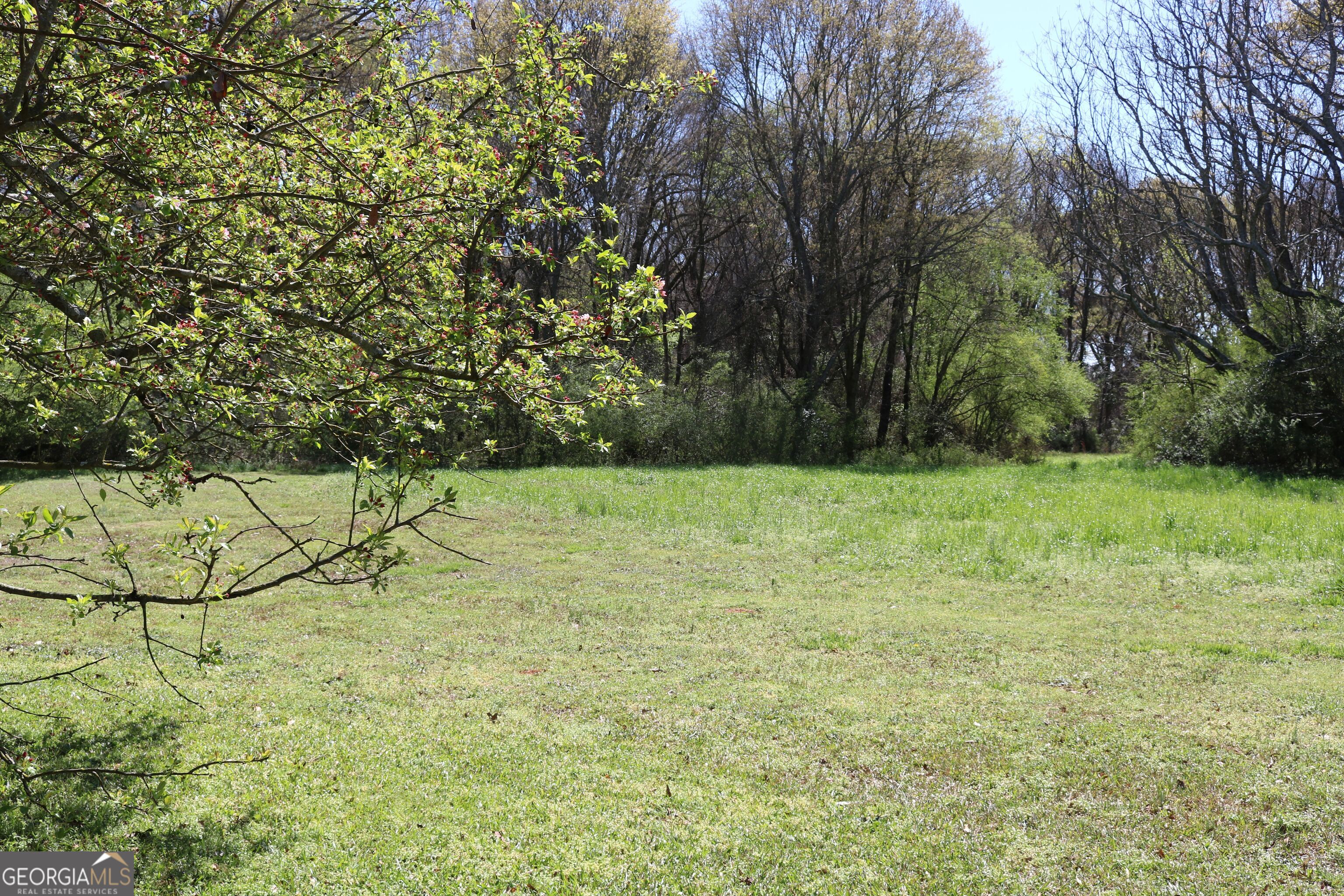 2139 Jones Chapel Shiloh Rd