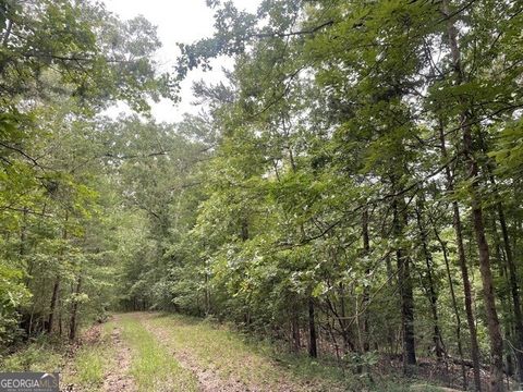 Photo of 933 Apex Court, Ranger, GA 30734 (MLS # 10664499)