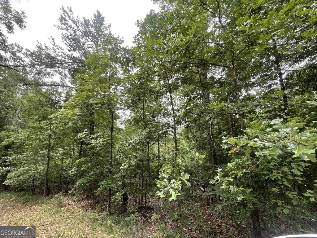 Photo of 933 Apex Court, Ranger, GA 30734 (MLS # 10664499)