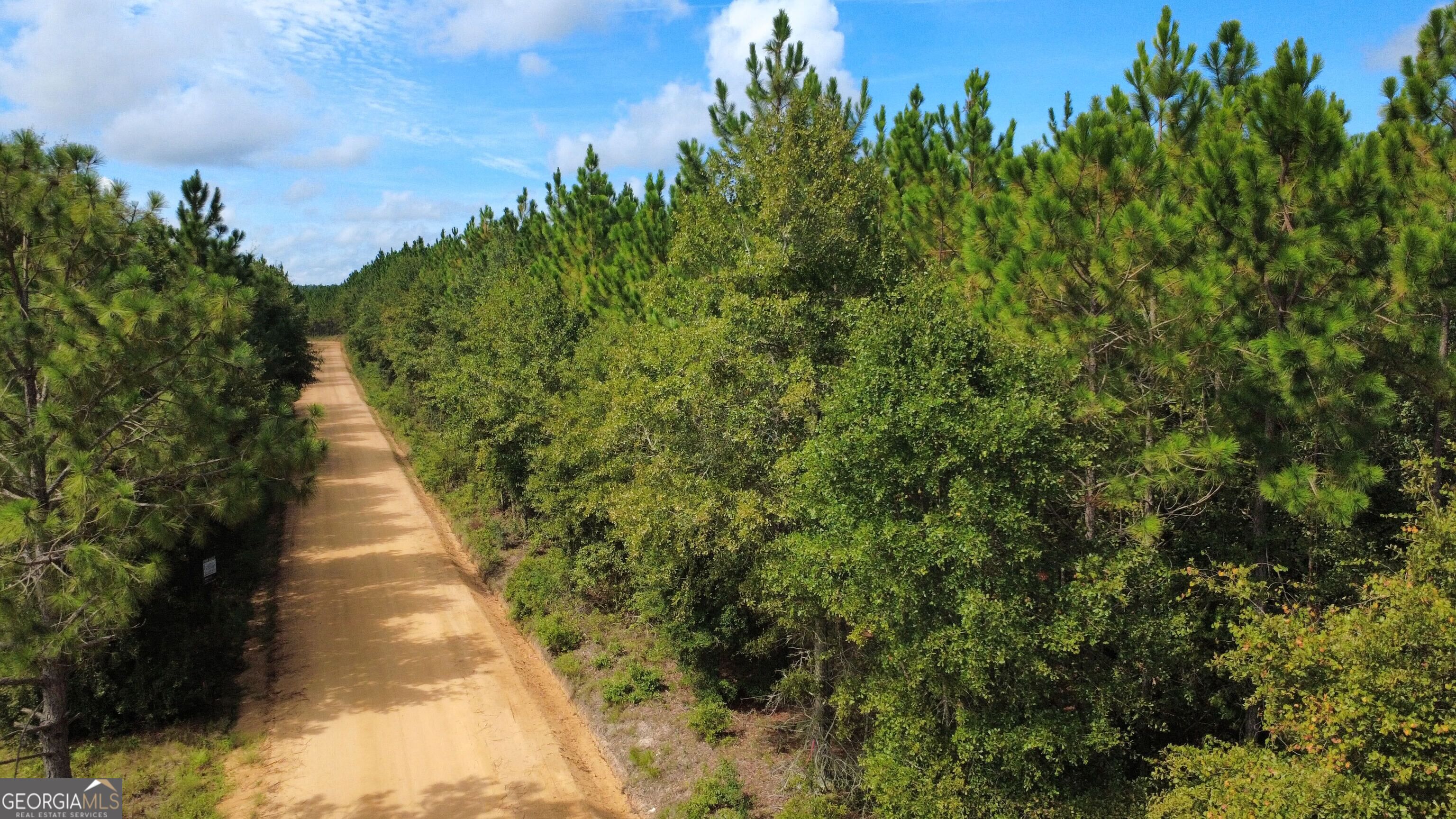 TRACT 4 A L Reeves RD