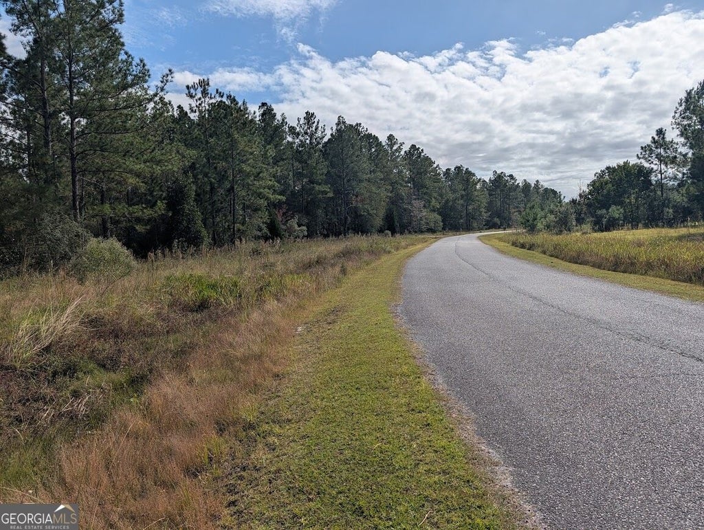 Photo of 173 Lake Deborah Drive, Folkston, GA 31537 (MLS # 10880106)
