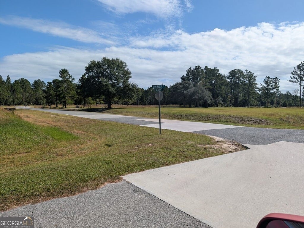 Photo of 173 Lake Deborah Drive, Folkston, GA 31537 (MLS # 10880106)