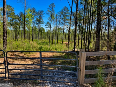 Photo of 2920 Airline Road, Mcdonough, GA 30252 (MLS # 10833300)