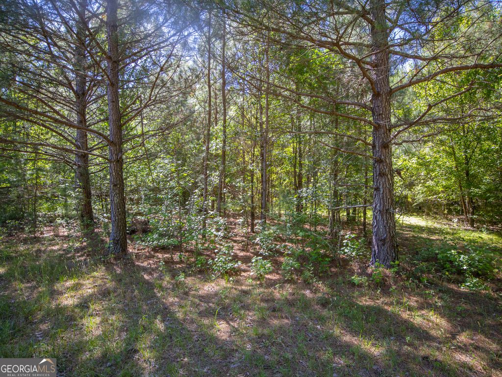 Photo of 105 Bronco Road, La Fayette, GA 30728 (MLS # 10767053)