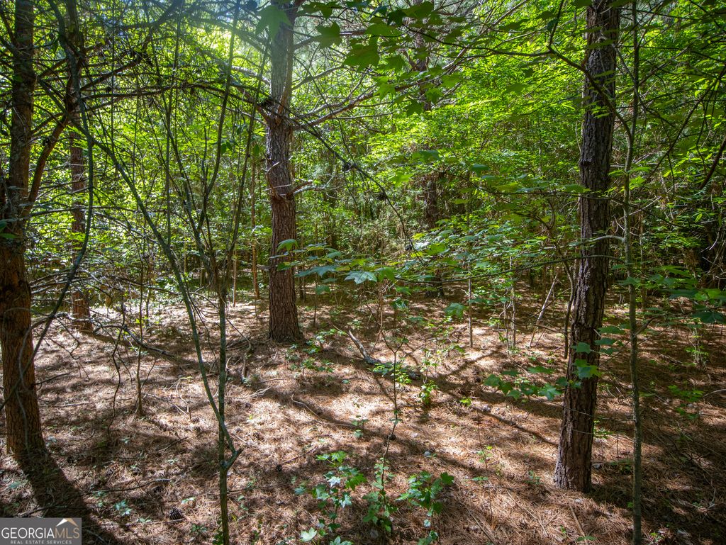 Photo of 105 Bronco Road, La Fayette, GA 30728 (MLS # 10767053)