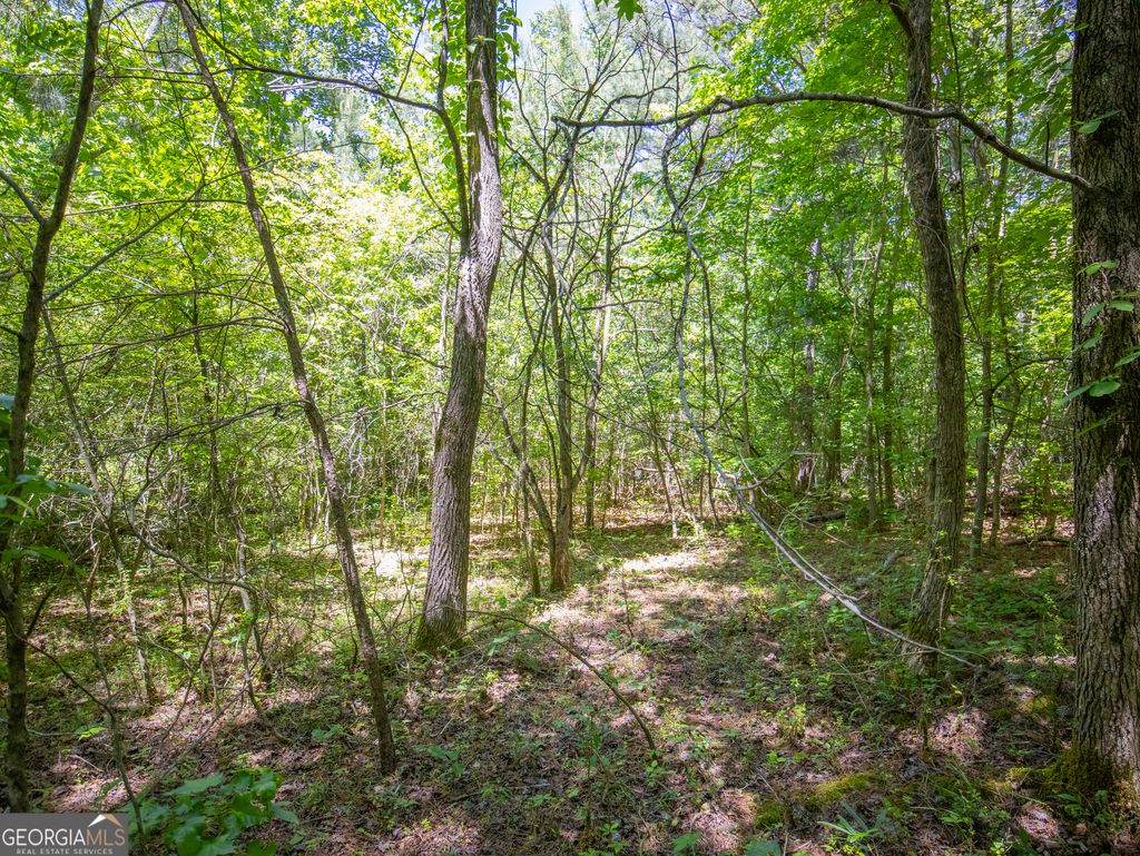 Photo of 105 Bronco Road, La Fayette, GA 30728 (MLS # 10767053)