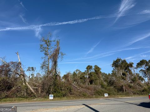 0 Old  Graham RD Hazlehurst GA 31539