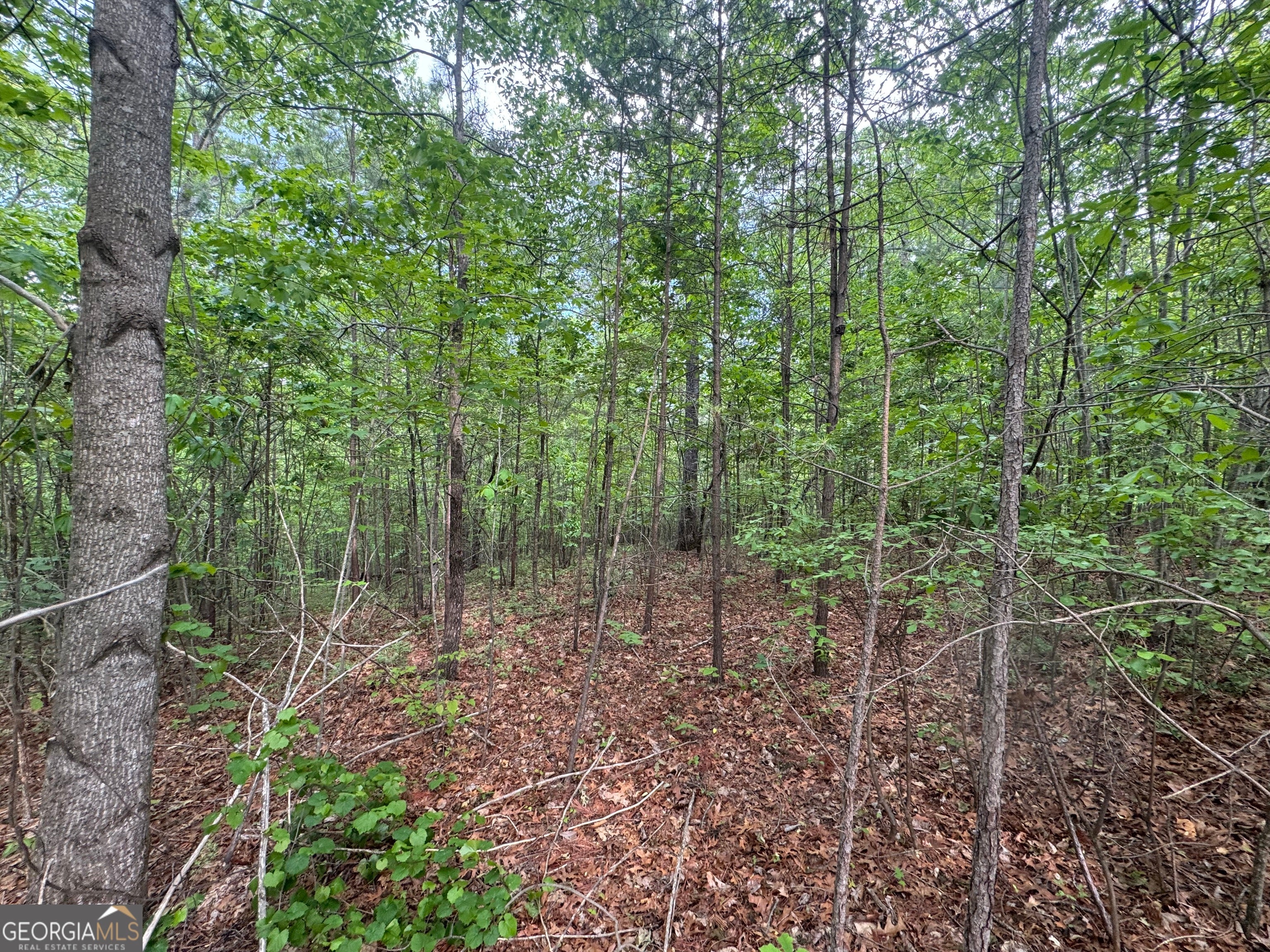 1786 Jones Mountain RD